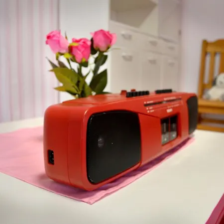 Rum i privatbostad Lighane's With Sailor Moon